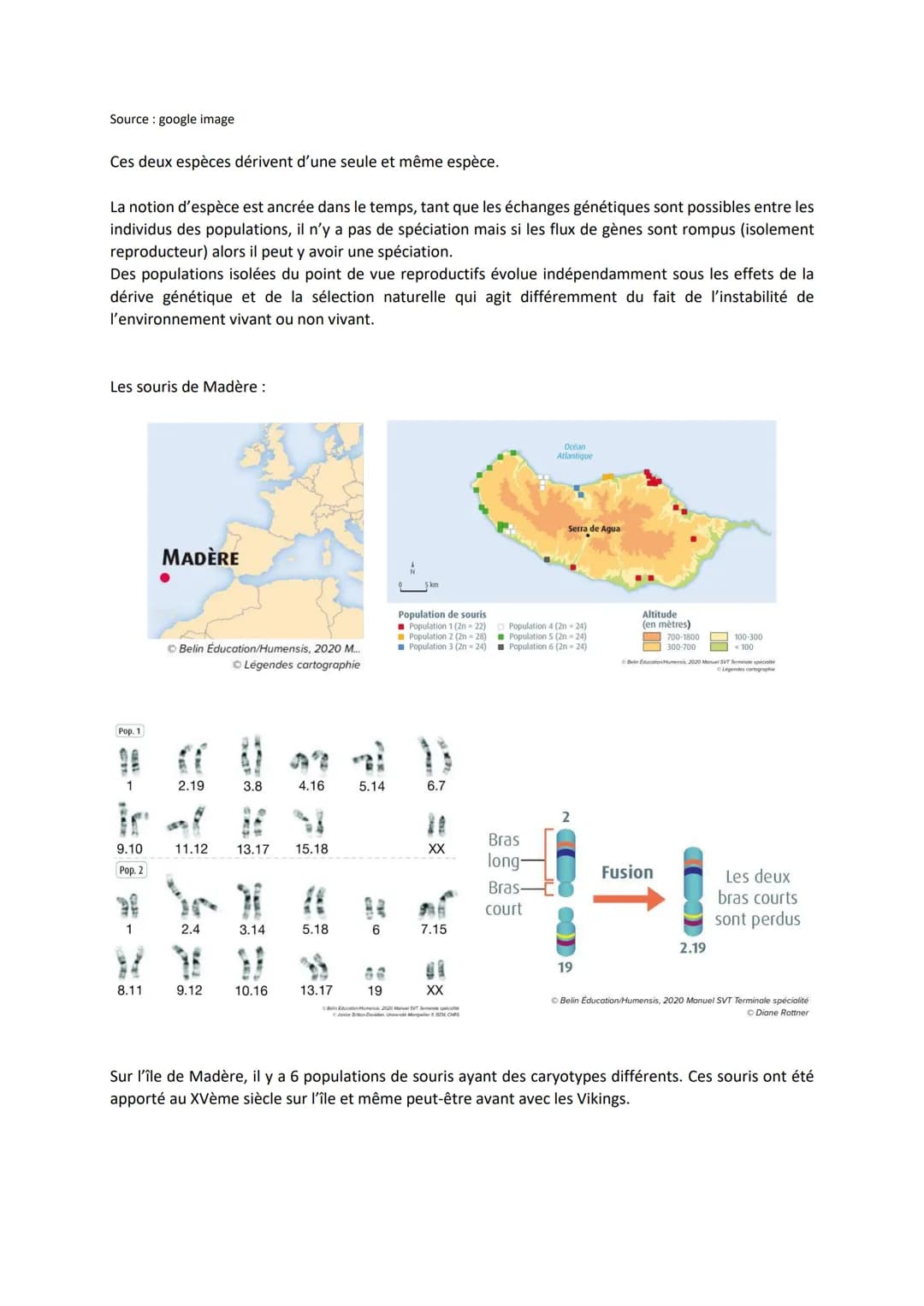 Chapitre 7
L'INÉLUCTABLE
ÉVOLUTION
DES GÉNOMES AU SEIN DES
I. Génétique des populations et modèle de Hardy-Weinberg
On étudie dans la popula