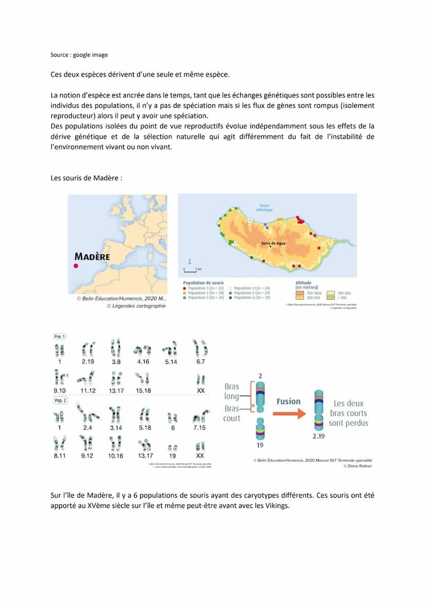 Chapitre 7
L'INÉLUCTABLE
ÉVOLUTION
DES GÉNOMES AU SEIN DES
I. Génétique des populations et modèle de Hardy-Weinberg
On étudie dans la popula