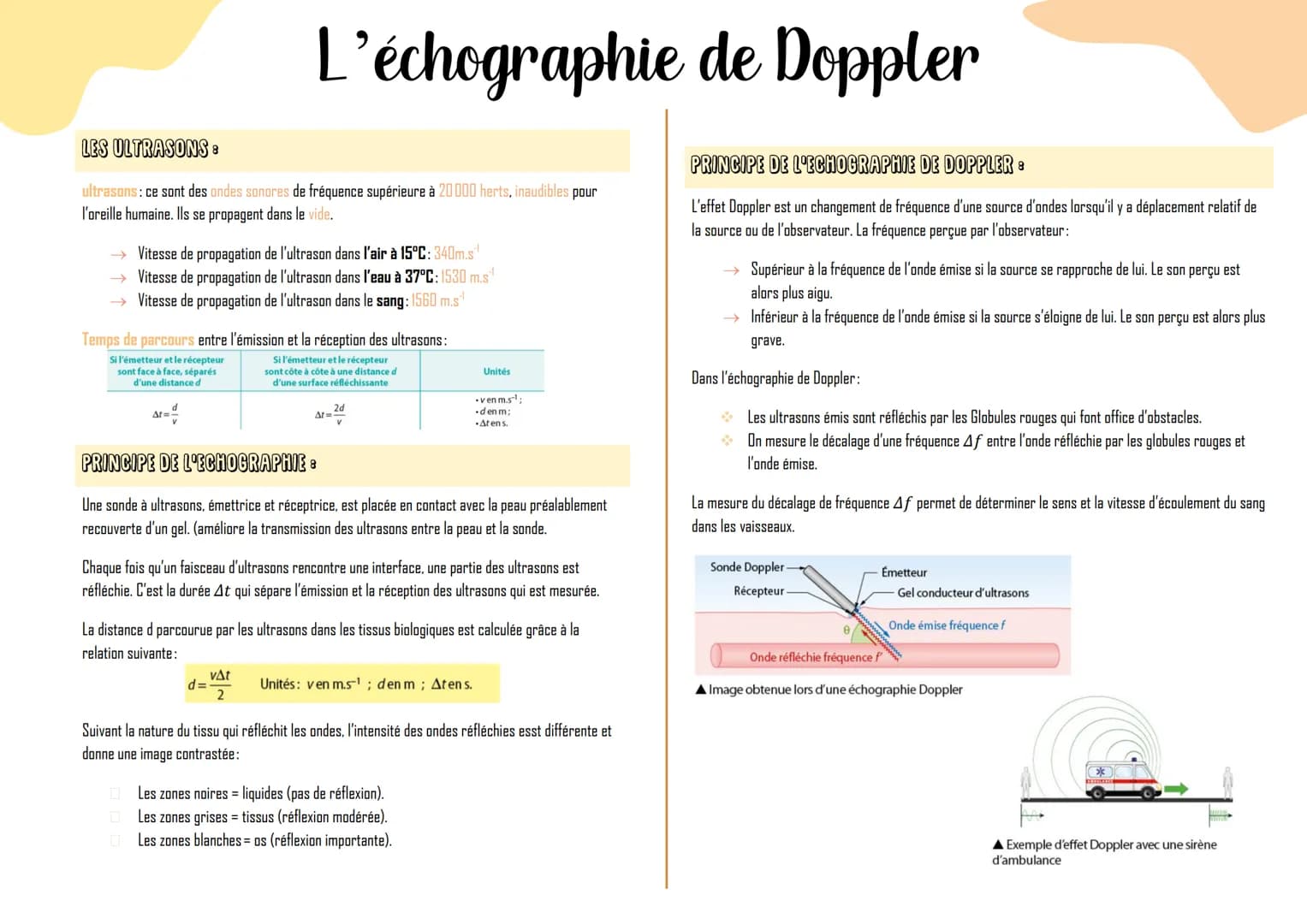 LES ULTRASONS:
ultrasons: ce sont des ondes sonores de fréquence supérieure à 20000 herts, inaudibles pour
l'oreille humaine. Ils se propage