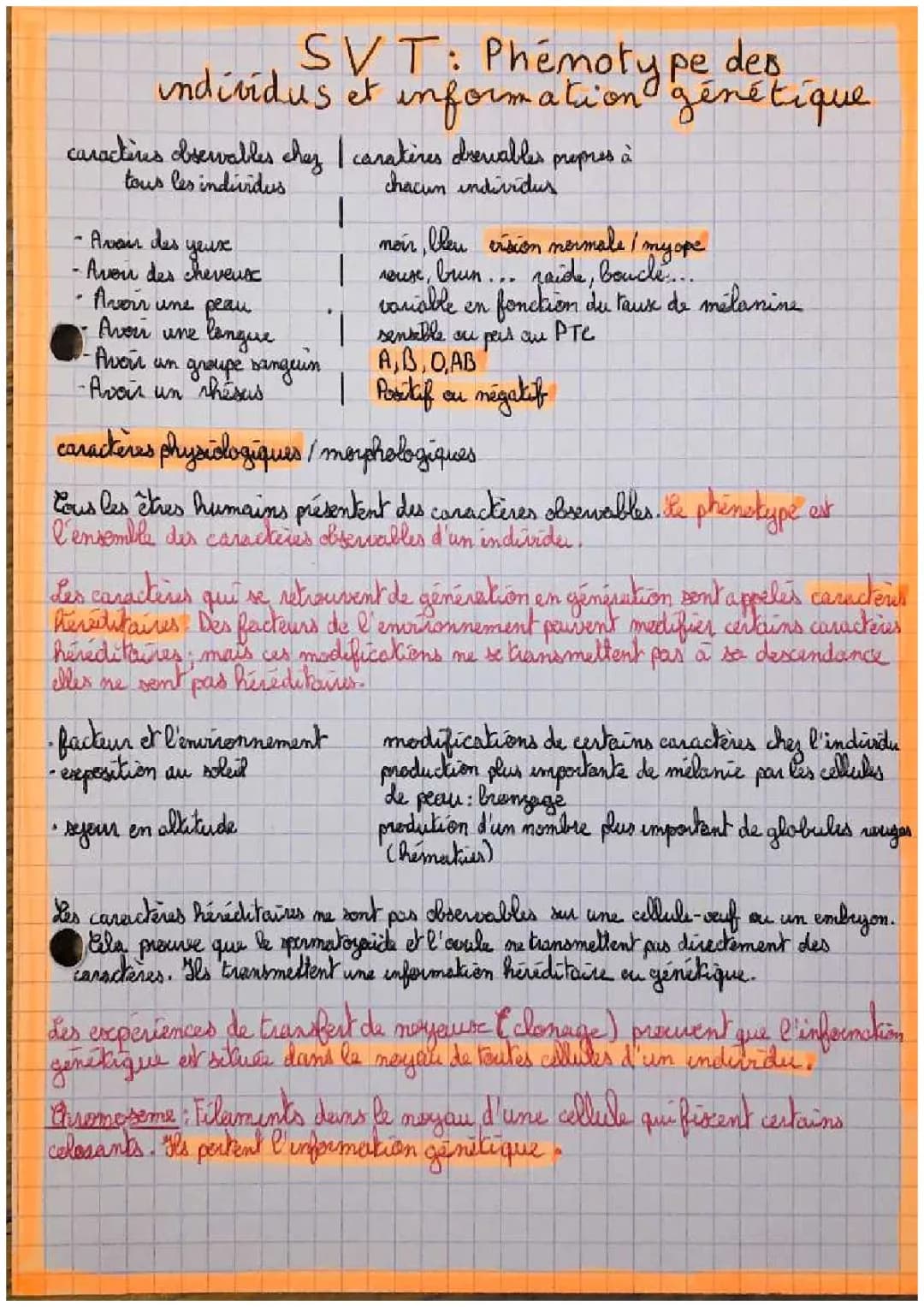 Diversité et Stabilité Génétique des Individus 3ème - Cours et Exercices PDF