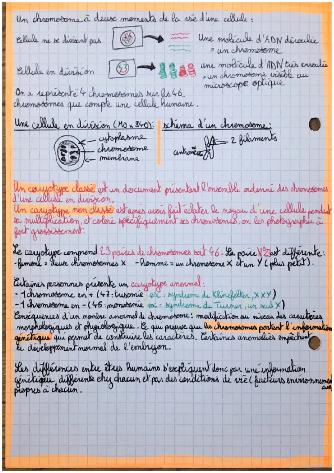 des
SVT: Phémoty prene tique
individus et information génétique
caractères observables chez I caratères drewables propres à
tous les individ