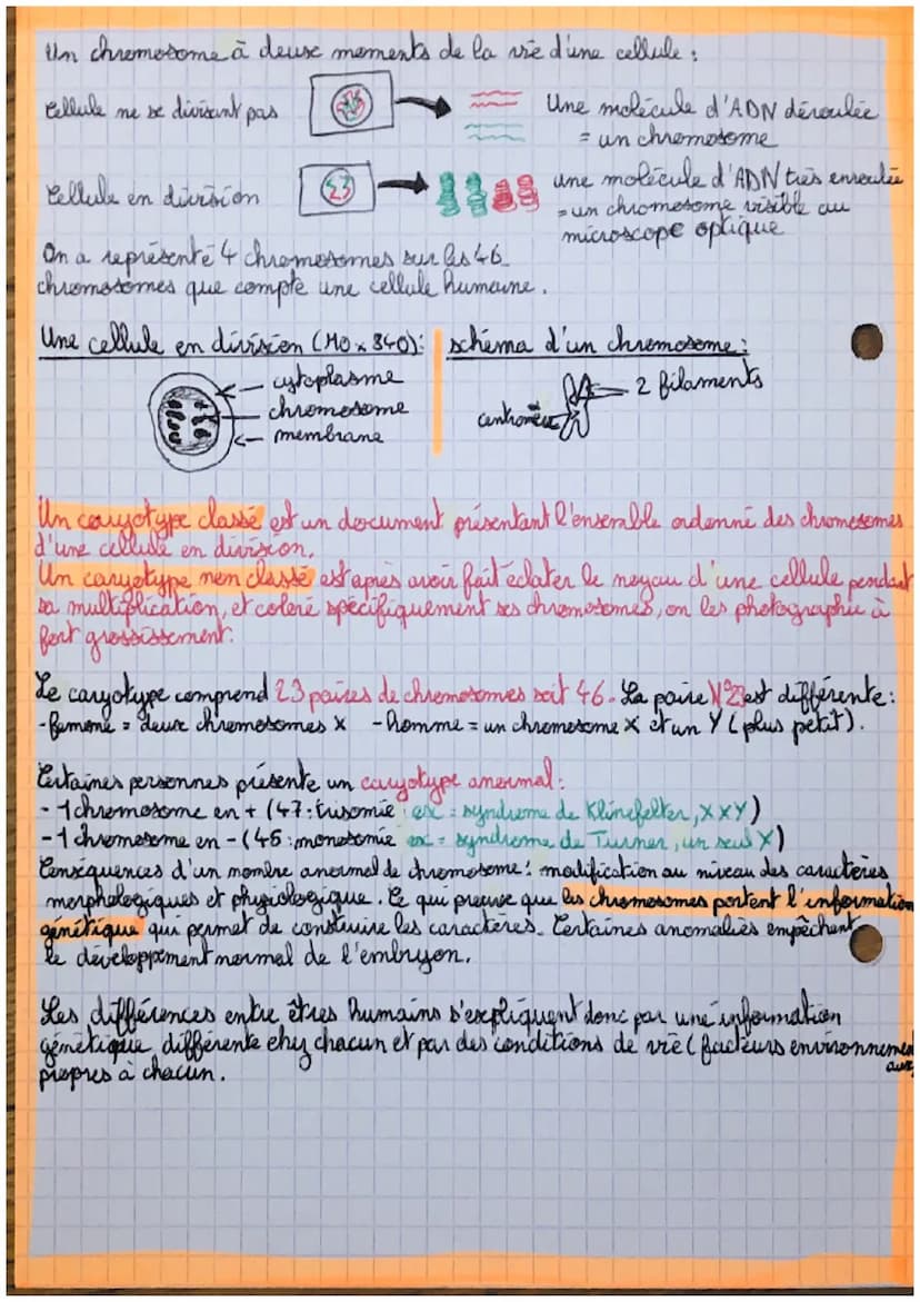 des
SVT: Phémoty prene tique
individus et information génétique
caractères observables chez I caratères drewables propres à
tous les individ