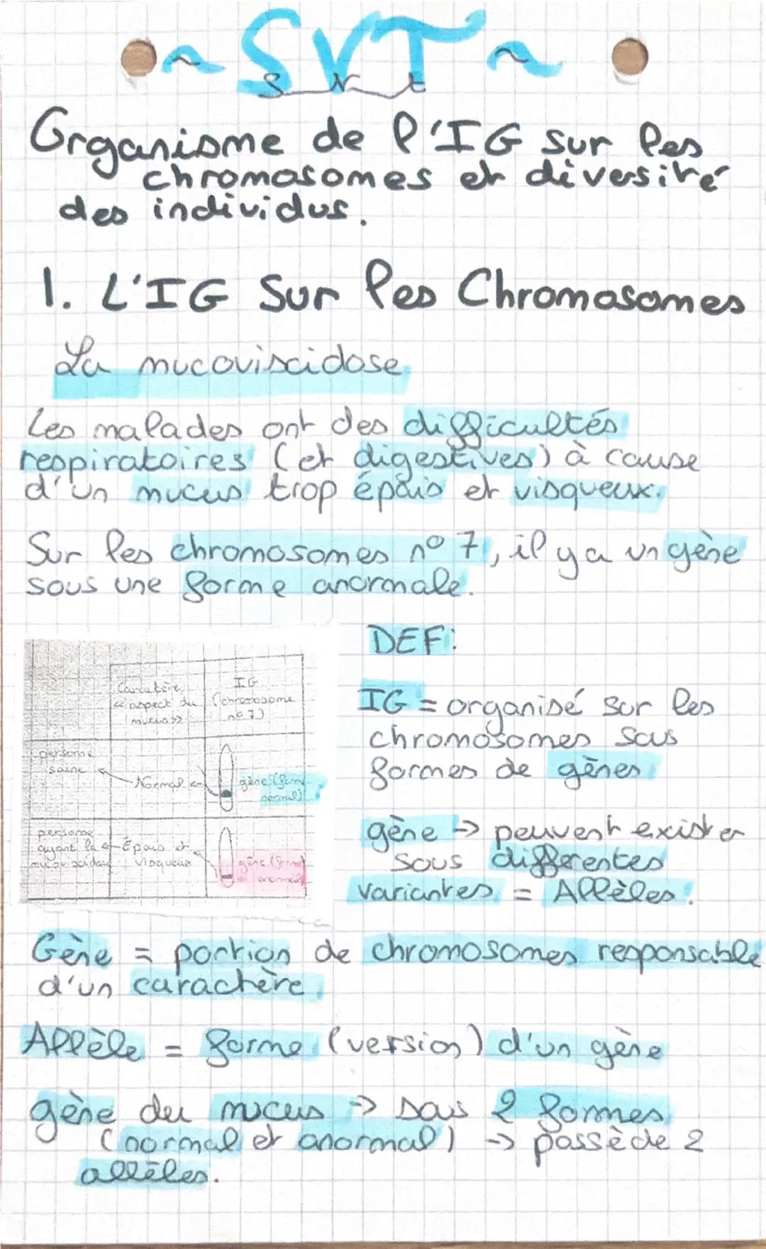 ~SVT~
l'IG
chromosomes en diversité
des individus.

1. L'IG Sur les Chromosomes

La mucoviscidose

Les malades ont des difficultés
respirato