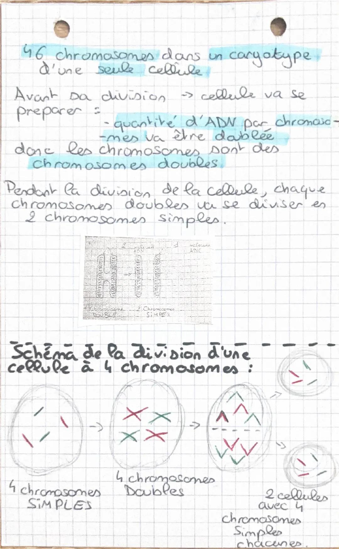 ~SVT~
l'IG
chromosomes en diversité
des individus.

1. L'IG Sur les Chromosomes

La mucoviscidose

Les malades ont des difficultés
respirato