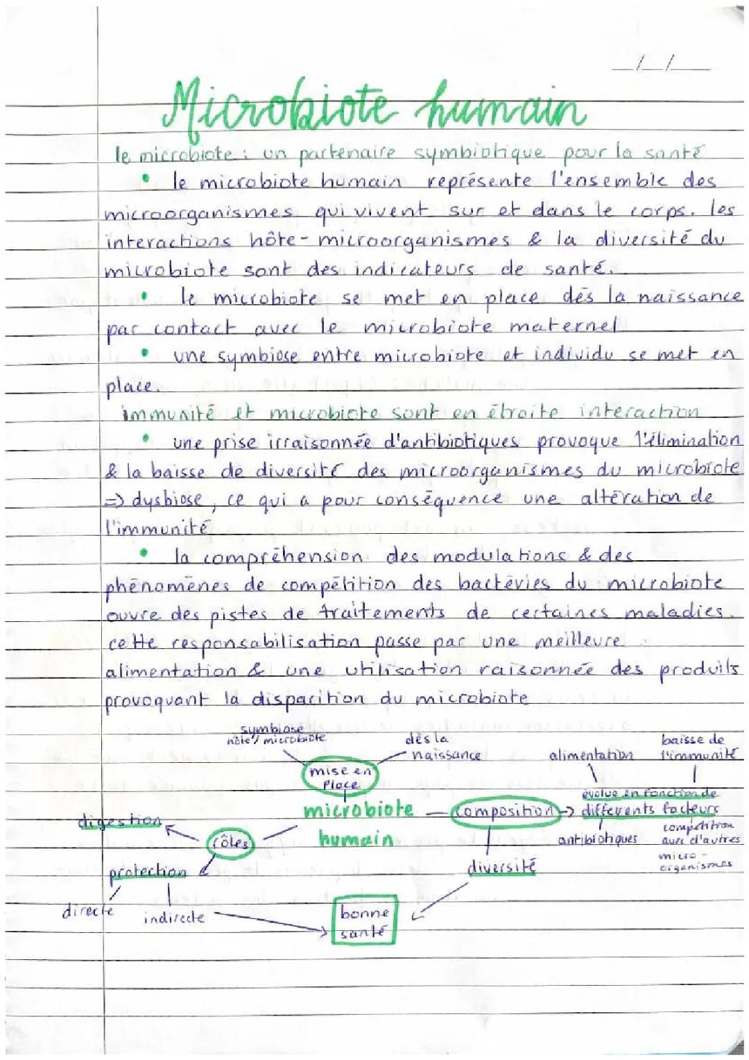 Microbiote humain SVT
