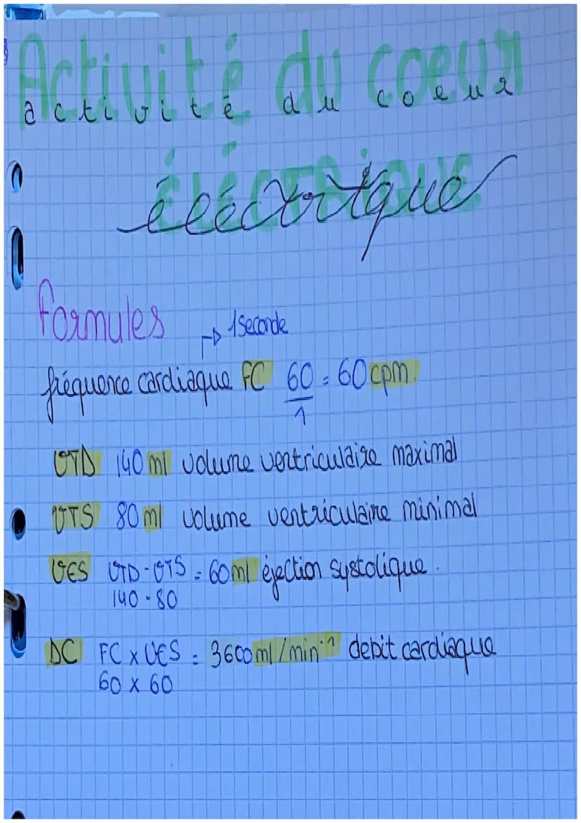 16
e E COEUR
e
e
u
artère : Vaisseau qui relie le sang
les organes. Ventricules.
le
Veine: vaisseau qui transporta
au ♡. Oreillettes
artère 