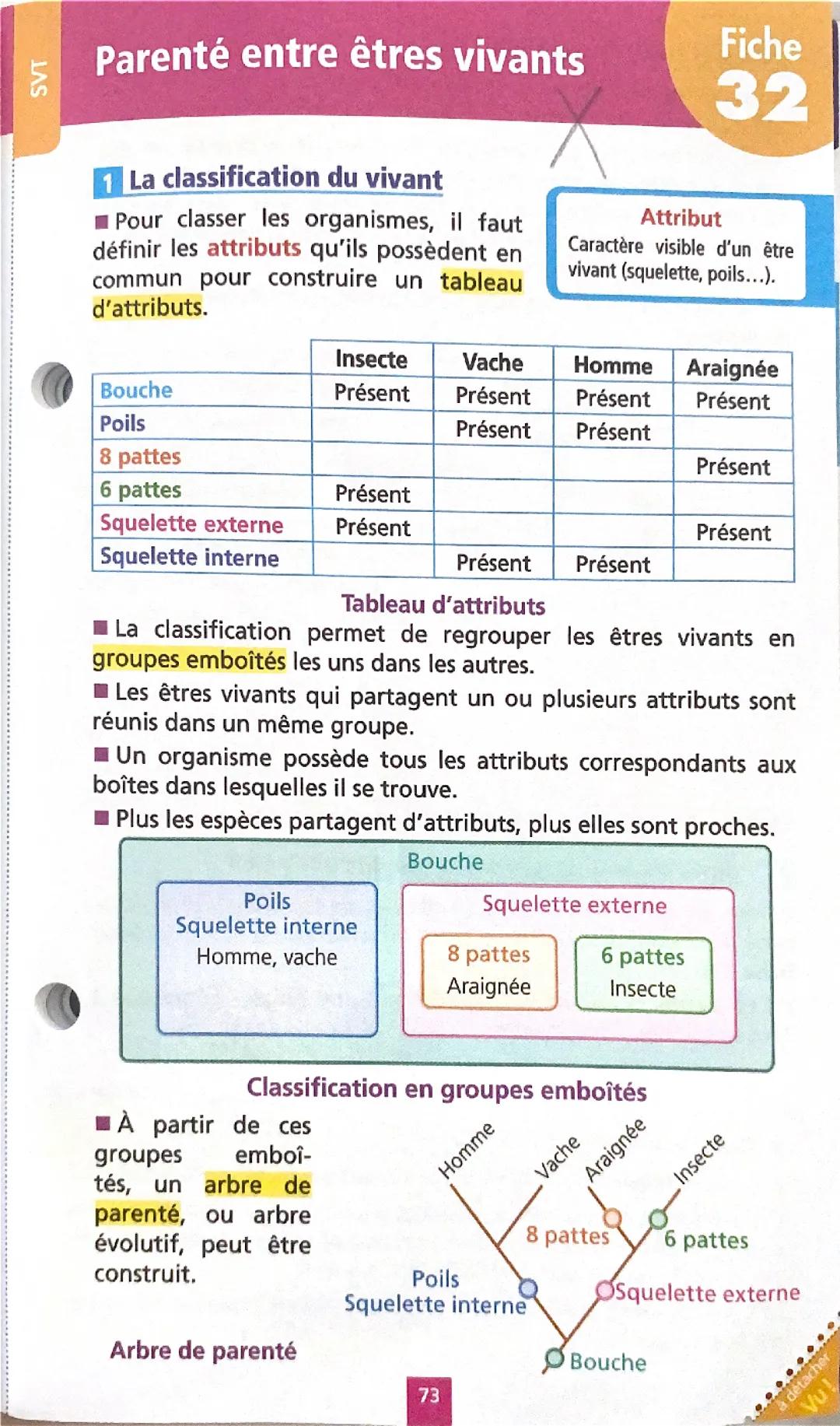 parenté entre les etres vivants 