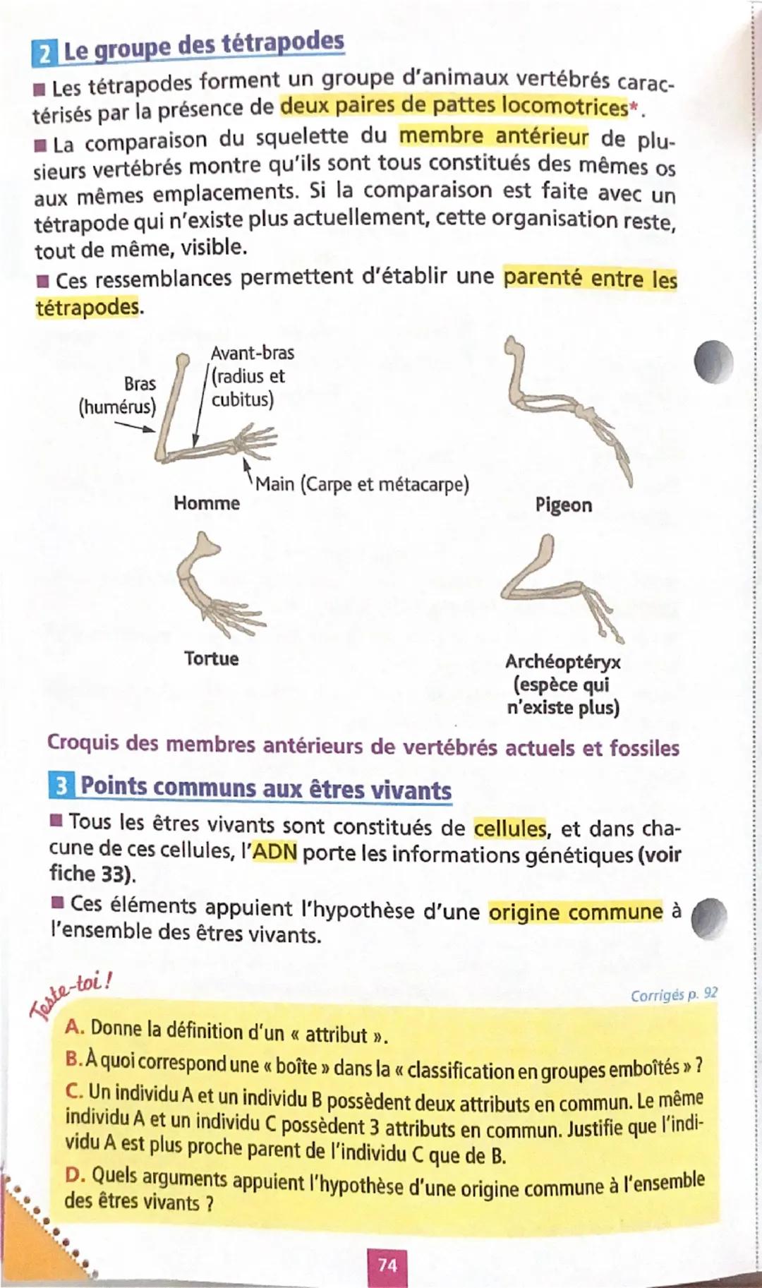 --- OCR Start ---
LAS
Parenté entre êtres vivants
Fiche
32
1 La classification du vivant
■Pour classer les organismes, il faut
définir les a