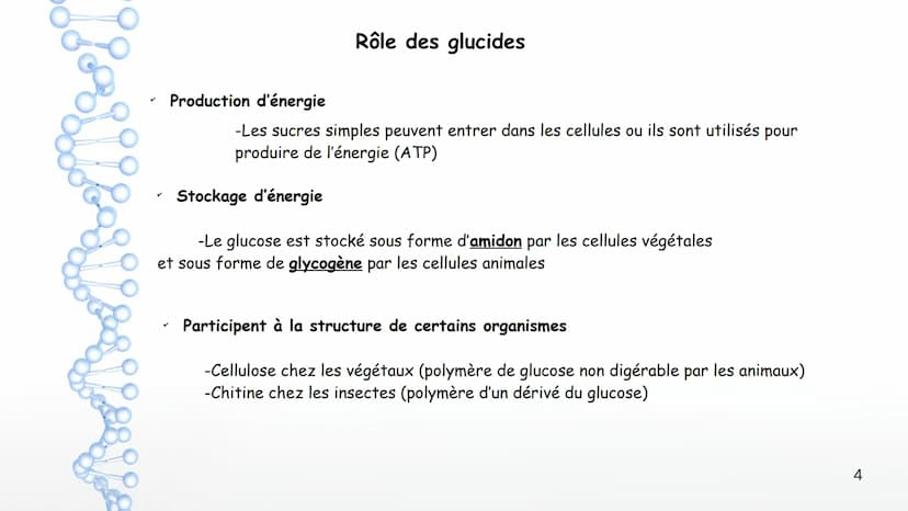AP: Révisions du programme de première
1 Thème 1 : Les molécules biologiques
I-Notion de monomère et de polymère :
*Un polymère est une gran