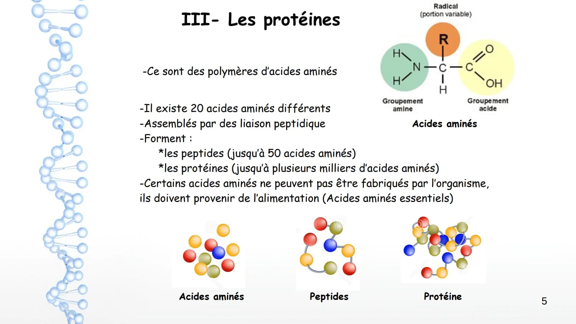 AP: Révisions du programme de première
1 Thème 1 : Les molécules biologiques
I-Notion de monomère et de polymère :
*Un polymère est une gran