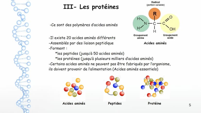 AP: Révisions du programme de première
1 Thème 1 : Les molécules biologiques
I-Notion de monomère et de polymère :
*Un polymère est une gran
