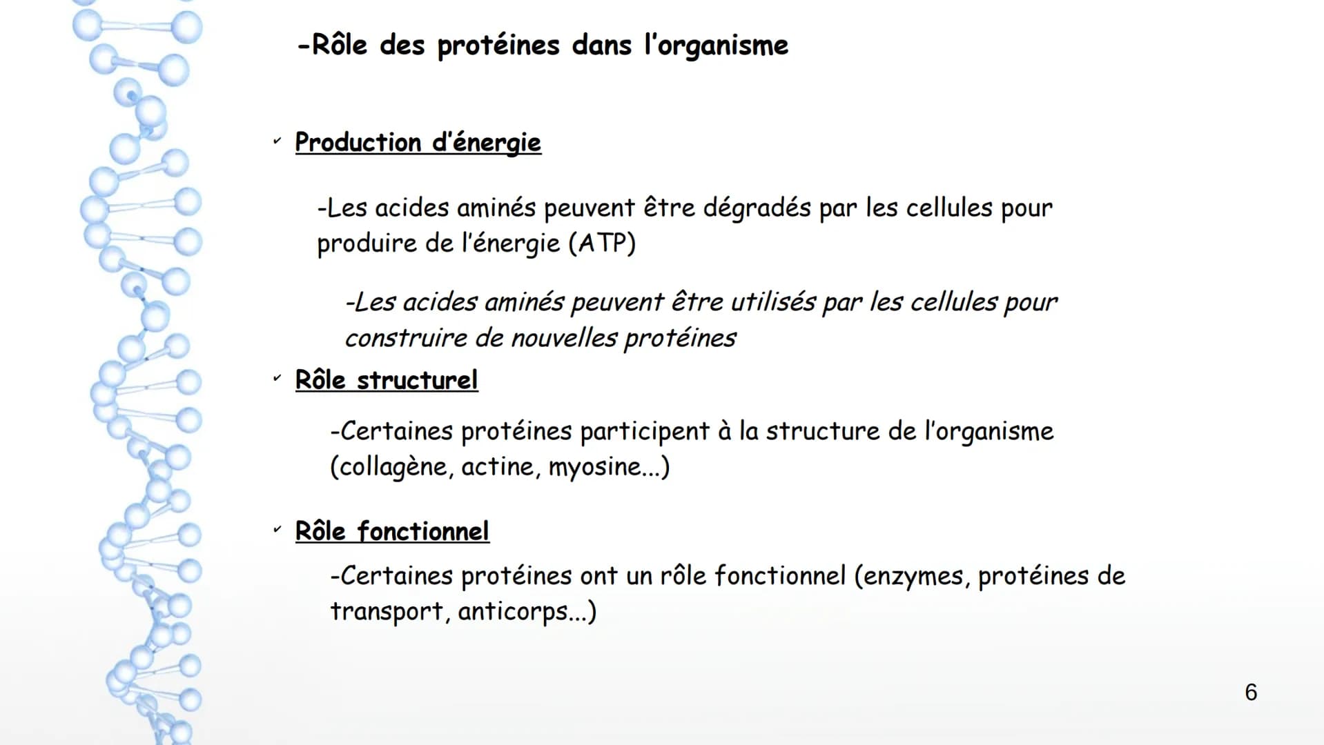 AP: Révisions du programme de première
1 Thème 1 : Les molécules biologiques
I-Notion de monomère et de polymère :
*Un polymère est une gran