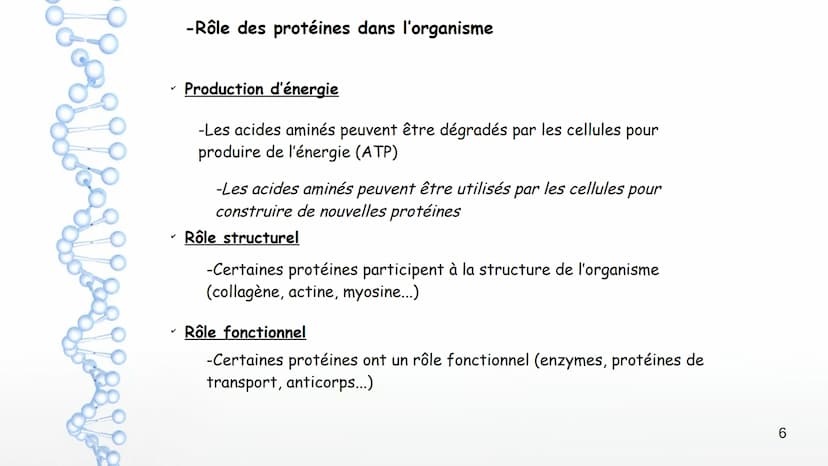 AP: Révisions du programme de première
1 Thème 1 : Les molécules biologiques
I-Notion de monomère et de polymère :
*Un polymère est une gran