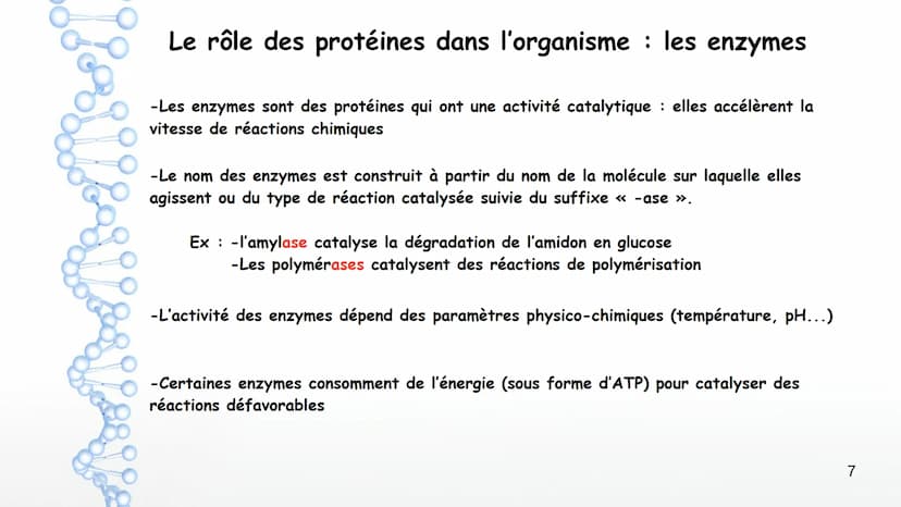 AP: Révisions du programme de première
1 Thème 1 : Les molécules biologiques
I-Notion de monomère et de polymère :
*Un polymère est une gran