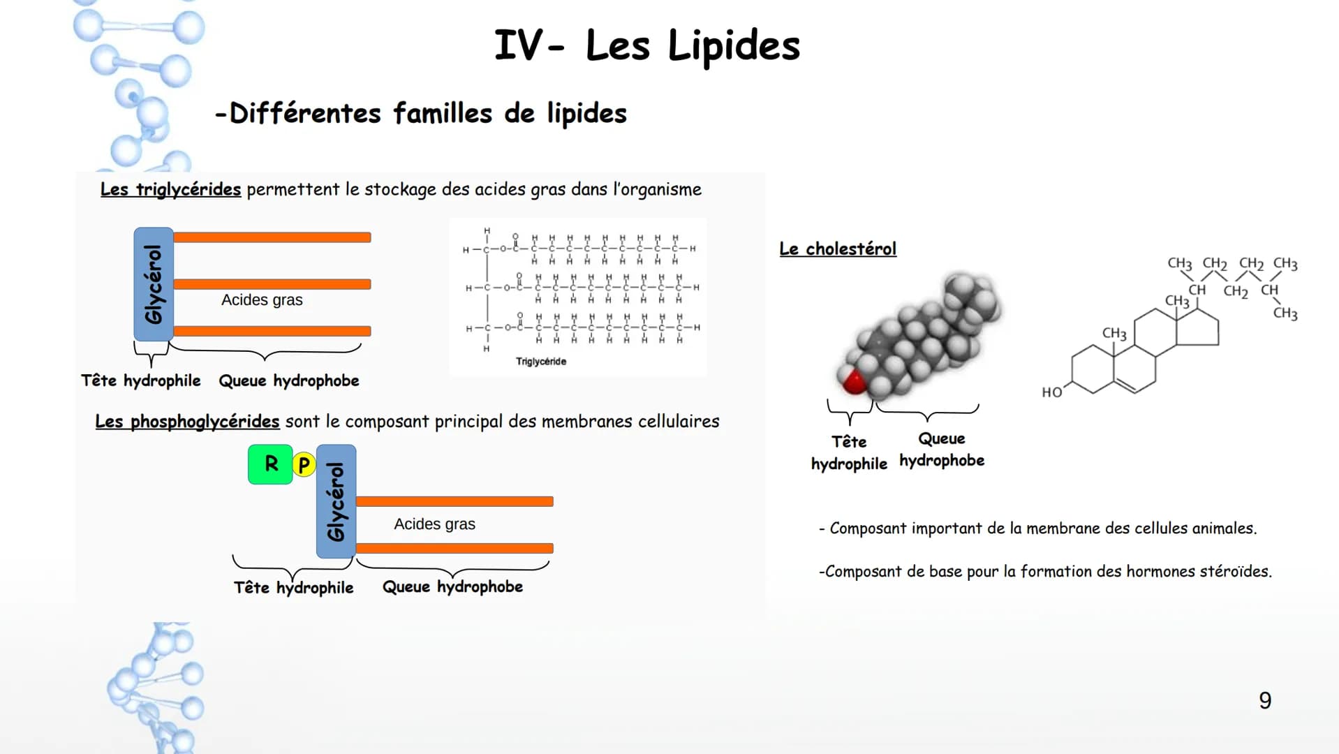 AP: Révisions du programme de première
1 Thème 1 : Les molécules biologiques
I-Notion de monomère et de polymère :
*Un polymère est une gran