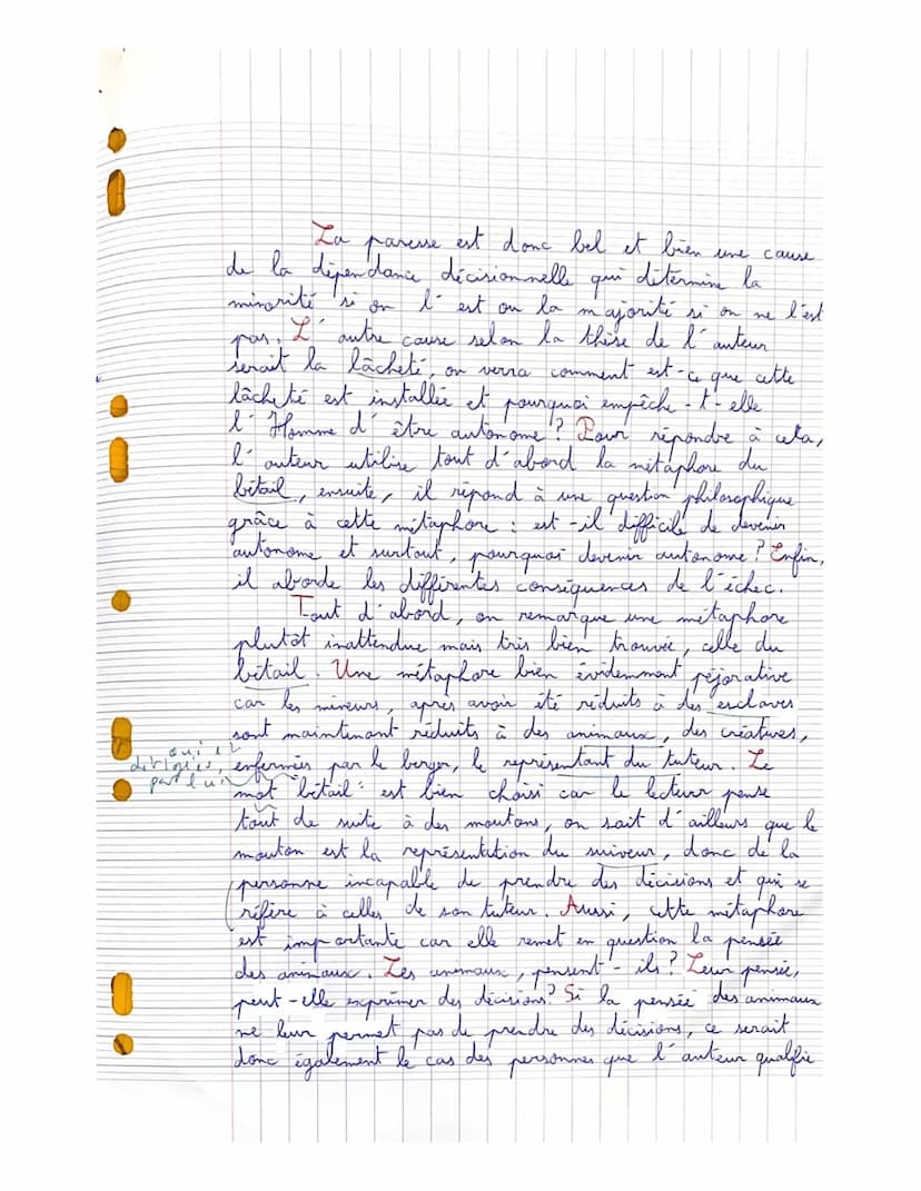 Imad
1 тог
D
15
Indance
بانان
линих
approximo hour upendant
à vour
arreter
гуре
Commentaire:
Une ex
explication de texte approfondie
qui s'e