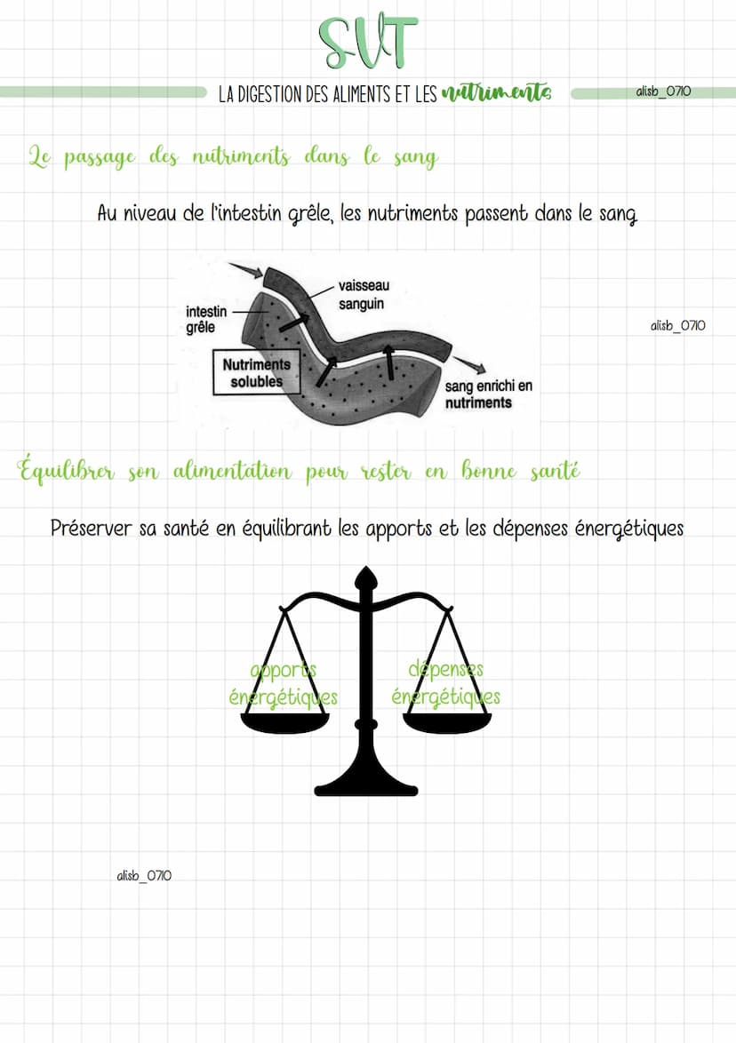 SUT
LA DIGESTION DES ALIMENTS ET LES triments
La transformation des aliments dans le tube digestif
Les aliments consommés progressent dans l