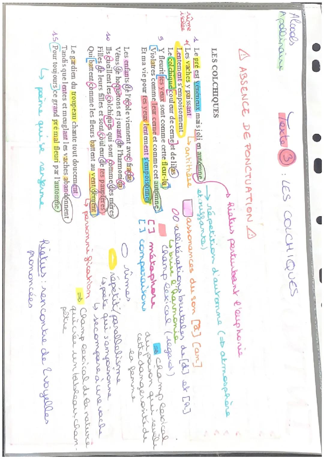Analyse linéaire détaillée du poème Les Colchiques - Alcools par Apollinaire (Bac Français)