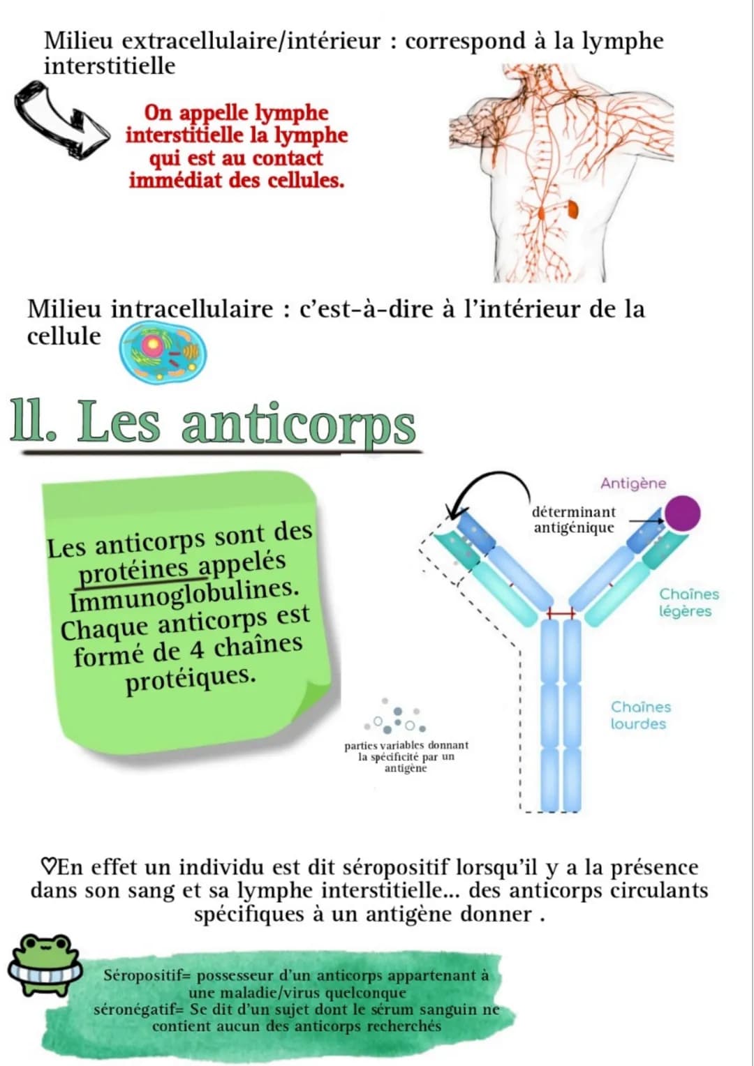 FREE
****
L'immunité adaptative
présente
chez les
vertébrés
assure
l'intégrité du
milieu
intracellulaire
et du milieu
extracellulaire
Adapta