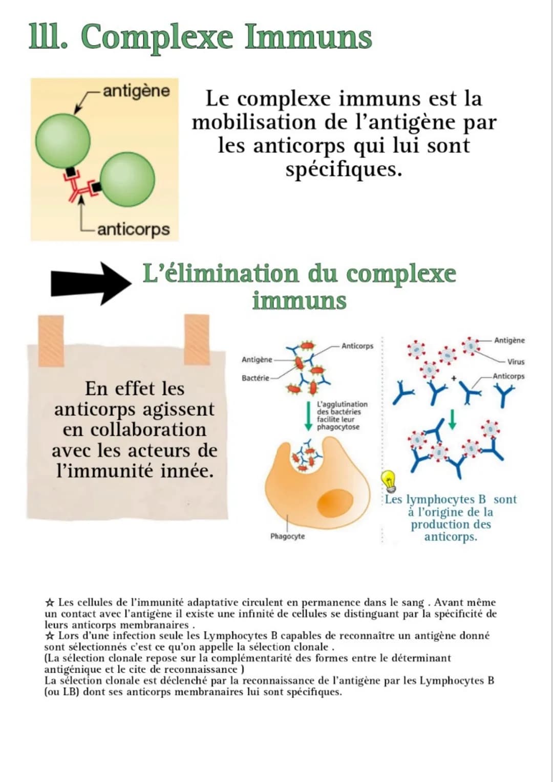 FREE
****
L'immunité adaptative
présente
chez les
vertébrés
assure
l'intégrité du
milieu
intracellulaire
et du milieu
extracellulaire
Adapta