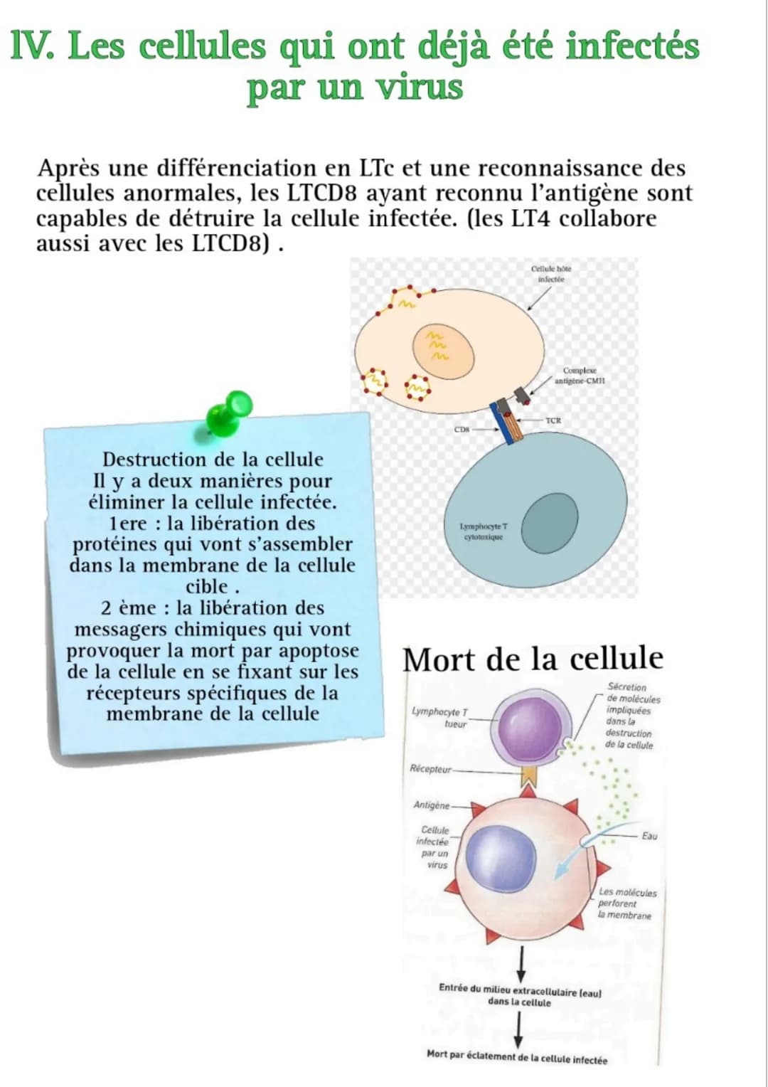 FREE
****
L'immunité adaptative
présente
chez les
vertébrés
assure
l'intégrité du
milieu
intracellulaire
et du milieu
extracellulaire
Adapta