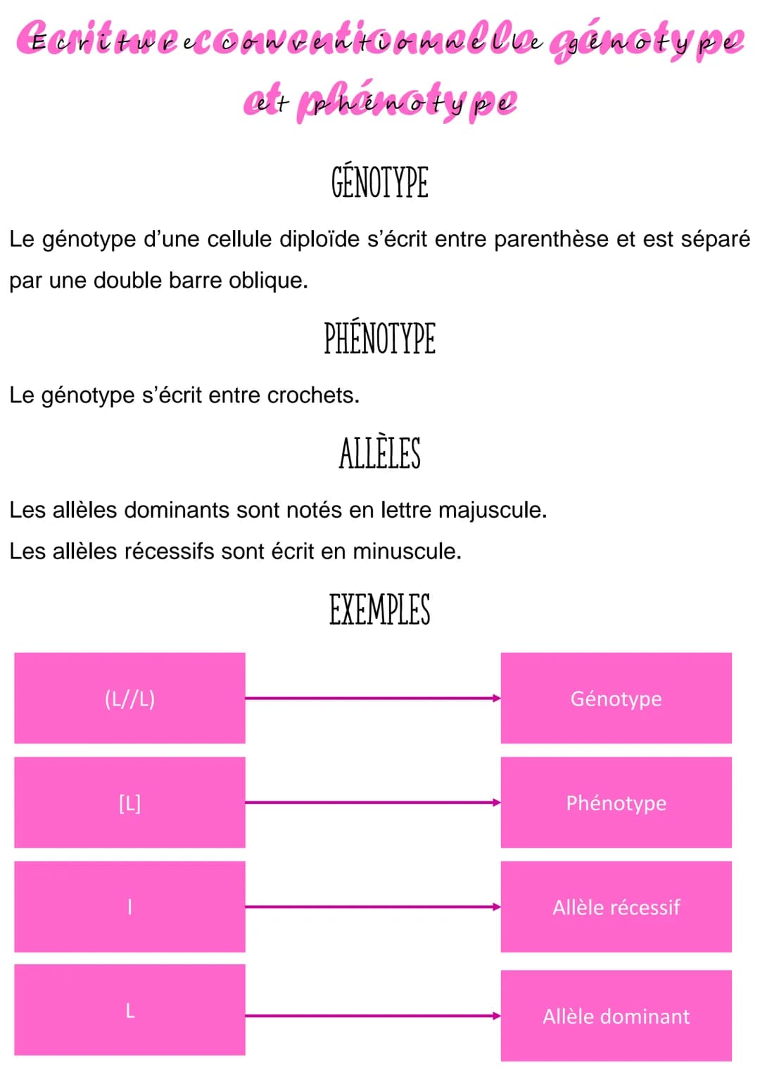 Ganitowe.conventionmal la génotype
at phénotype
GÉNOTYPE
Le génotype d'une cellule diploïde s'écrit entre parenthèse et est séparé
par une d