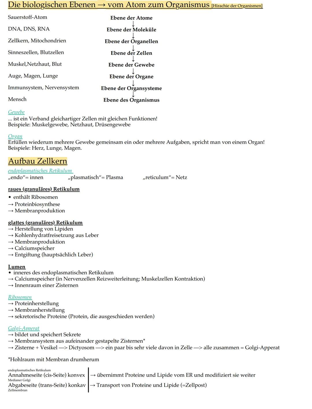 # Merkmale der Lebewesen

• Wachstum

• Fortpflanzung

• Bewegung

• Ernährung

• Stoffwechsel

• Ausscheidung

• Reizbarkeit

• (Lebewesen)