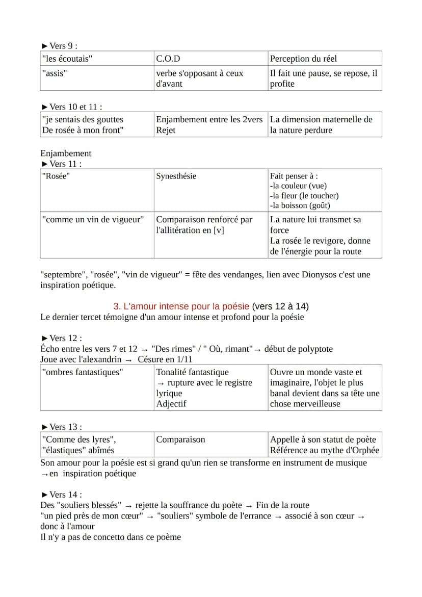 Les Mémoires d'une âme
Ma Bohême de Rimbaud
Je m'en allais, les poings dans mes poches crevées ;
Mon paletot aussi devenait idéal ;
J'allais