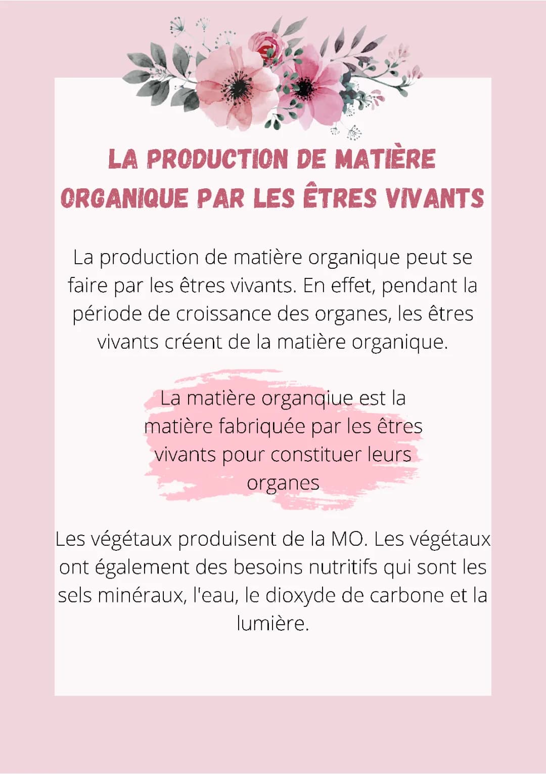 la production de matière organique par les êtres vivants
