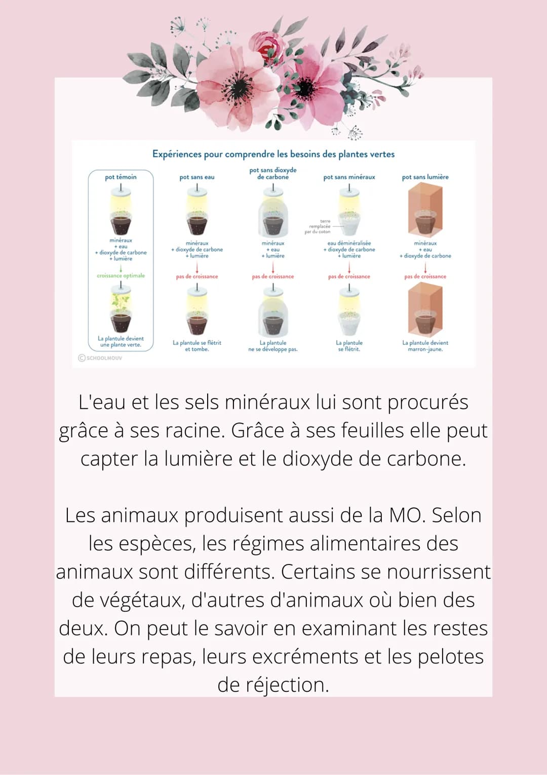 LA PRODUCTION DE MATIÈRE
ORGANIQUE PAR LES ÊTRES VIVANTS
La production de matière organique peut se
faire par les êtres vivants. En effet, p