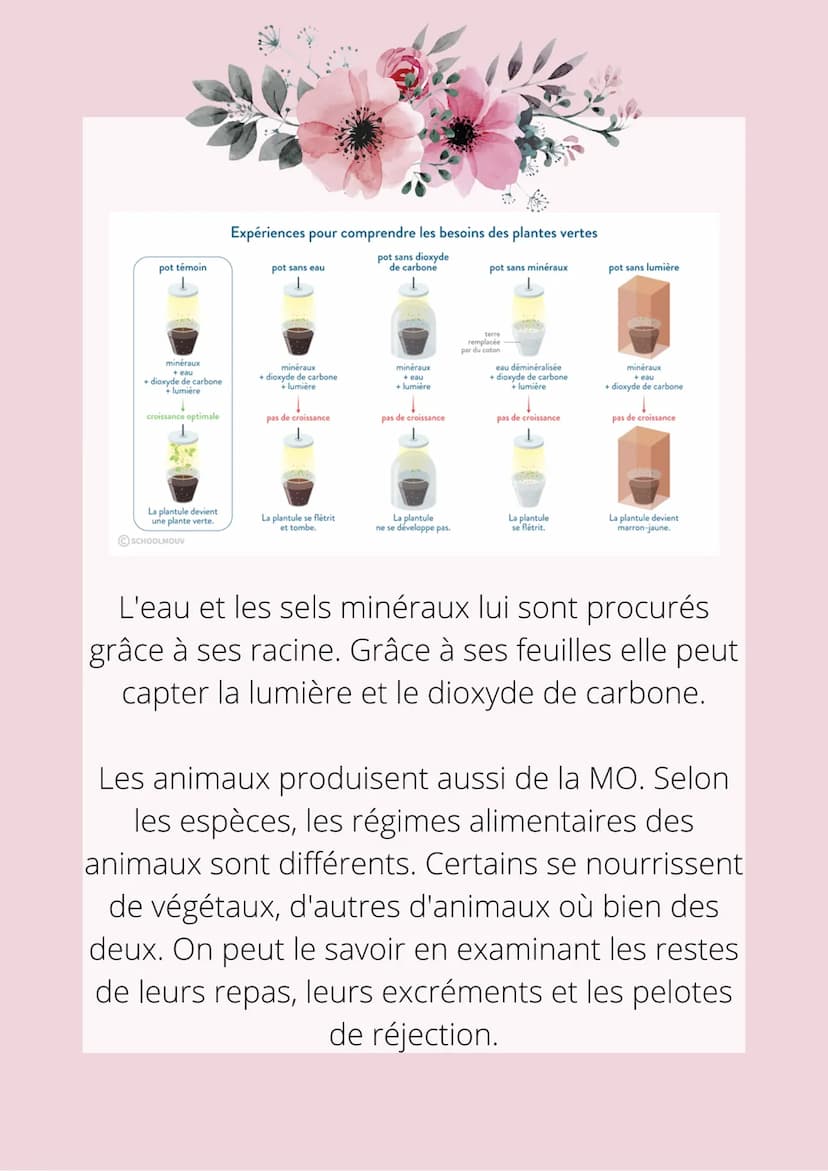 LA PRODUCTION DE MATIÈRE
ORGANIQUE PAR LES ÊTRES VIVANTS
La production de matière organique peut se
faire par les êtres vivants. En effet, p