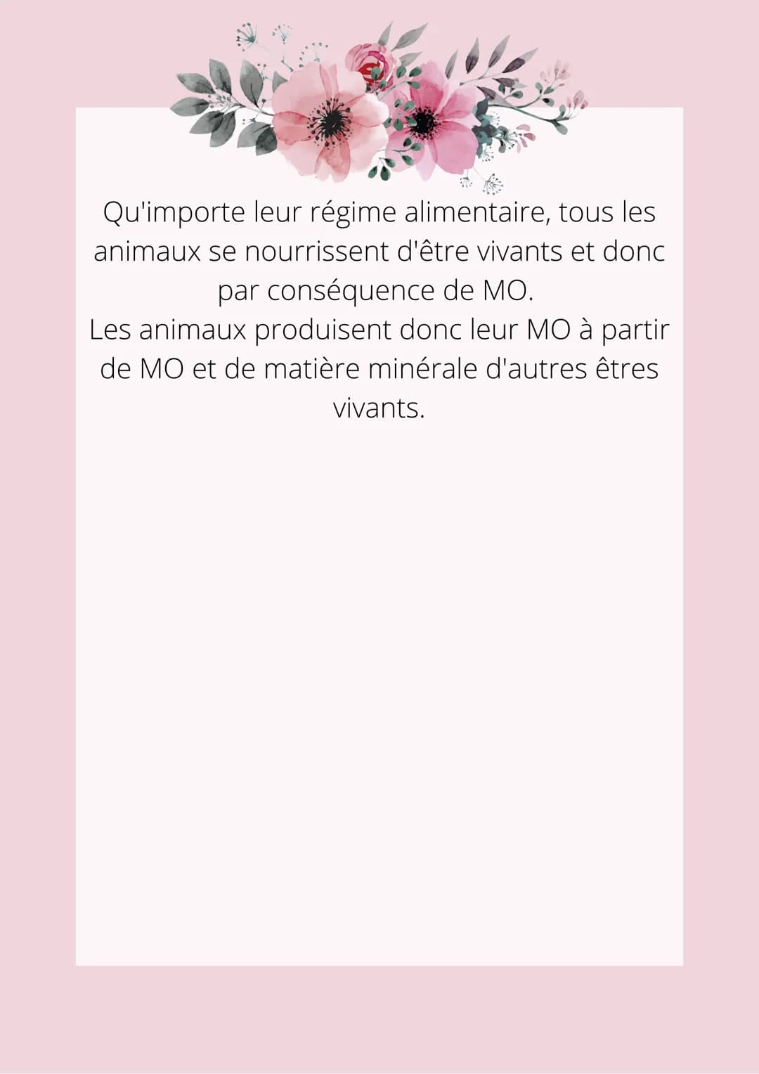 LA PRODUCTION DE MATIÈRE
ORGANIQUE PAR LES ÊTRES VIVANTS
La production de matière organique peut se
faire par les êtres vivants. En effet, p