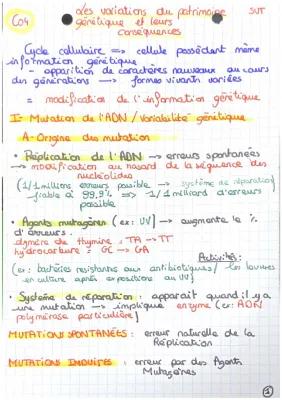 Know les variations du patrimoine génétique et leurs conséquences  thumbnail