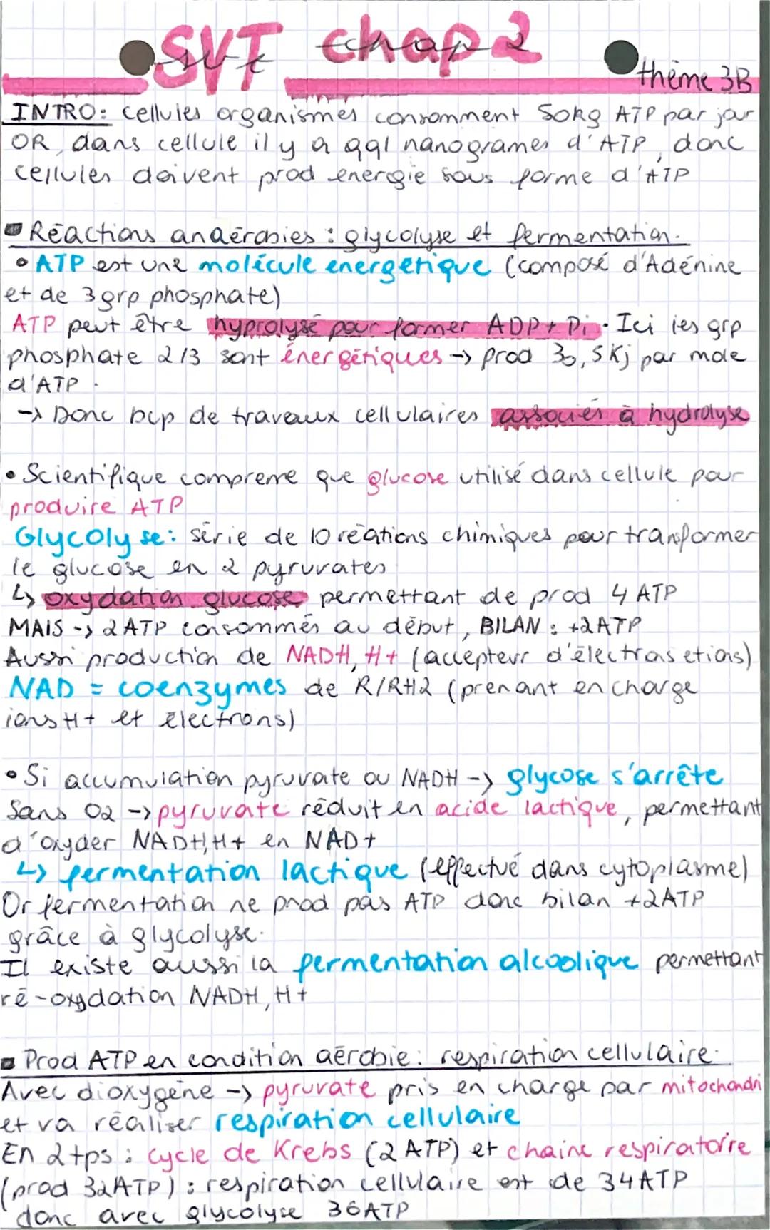 •SVF chap 2
theme 3B
INTRO: cellules organismes consomment Sorg ATP par jour
OR dans cellule il y a qq1 nanogrames d'ATP, donc
cellules doiv
