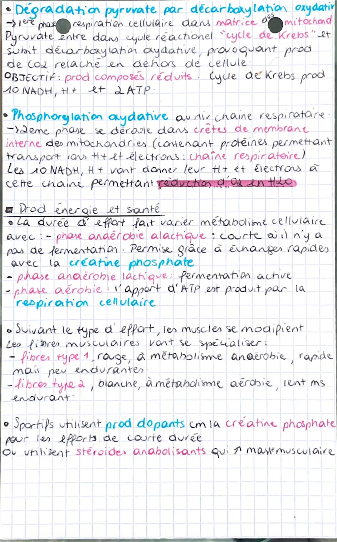 •SVF chap 2
theme 3B
INTRO: cellules organismes consomment Sorg ATP par jour
OR dans cellule il y a qq1 nanogrames d'ATP, donc
cellules doiv