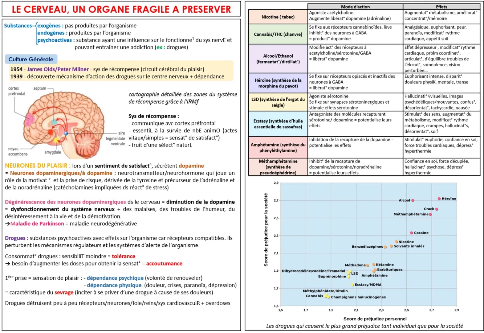 LE CERVEAU, UN ORGANE FRAGILE A PRESERVER
Substances-exogènes : pas produites par l'organisme
endogènes : produites par l'organisme
Culture 