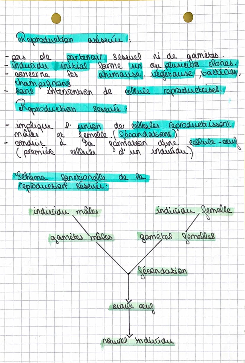 Chapitre 6.1
reproduction sesenée et aséservée.
La dynamique des populations.
Définitions:
gamète: Cellules
l'écondation rencontre
d'un
Dist