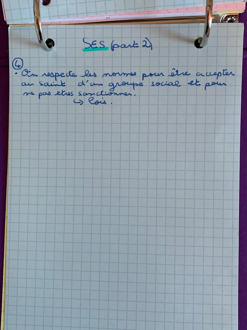 SES (part 2)
On respecte les normes pour
an saint
d'un
groupe
me pas etres sanctionner.
<> Pois.
êhe accepter
pour
social et SES:
socialisat