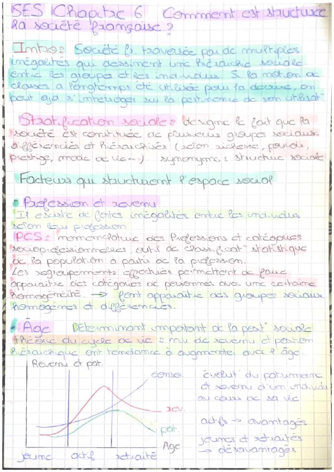 SES structure sociale 