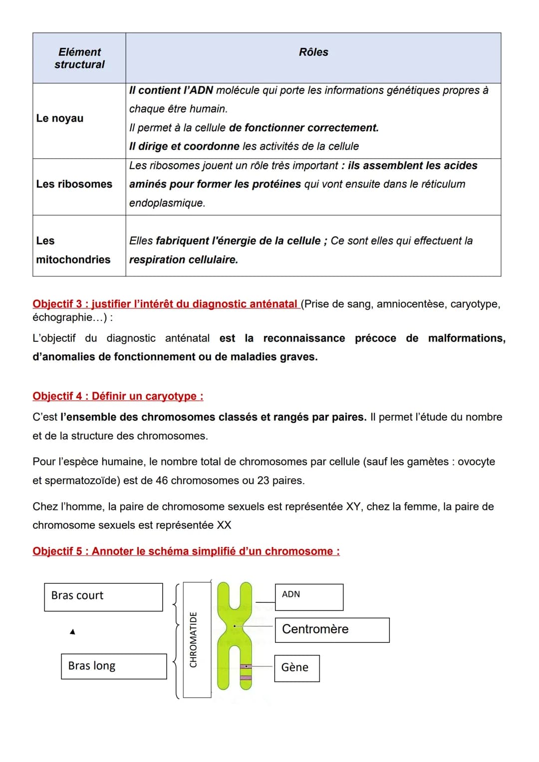 C4-01: BILAN La cellule, le chromosome et caryotype
Objectif 1: Représenter schématiquement l'ultrastructure cellulaire
L'ultrastructure d'u