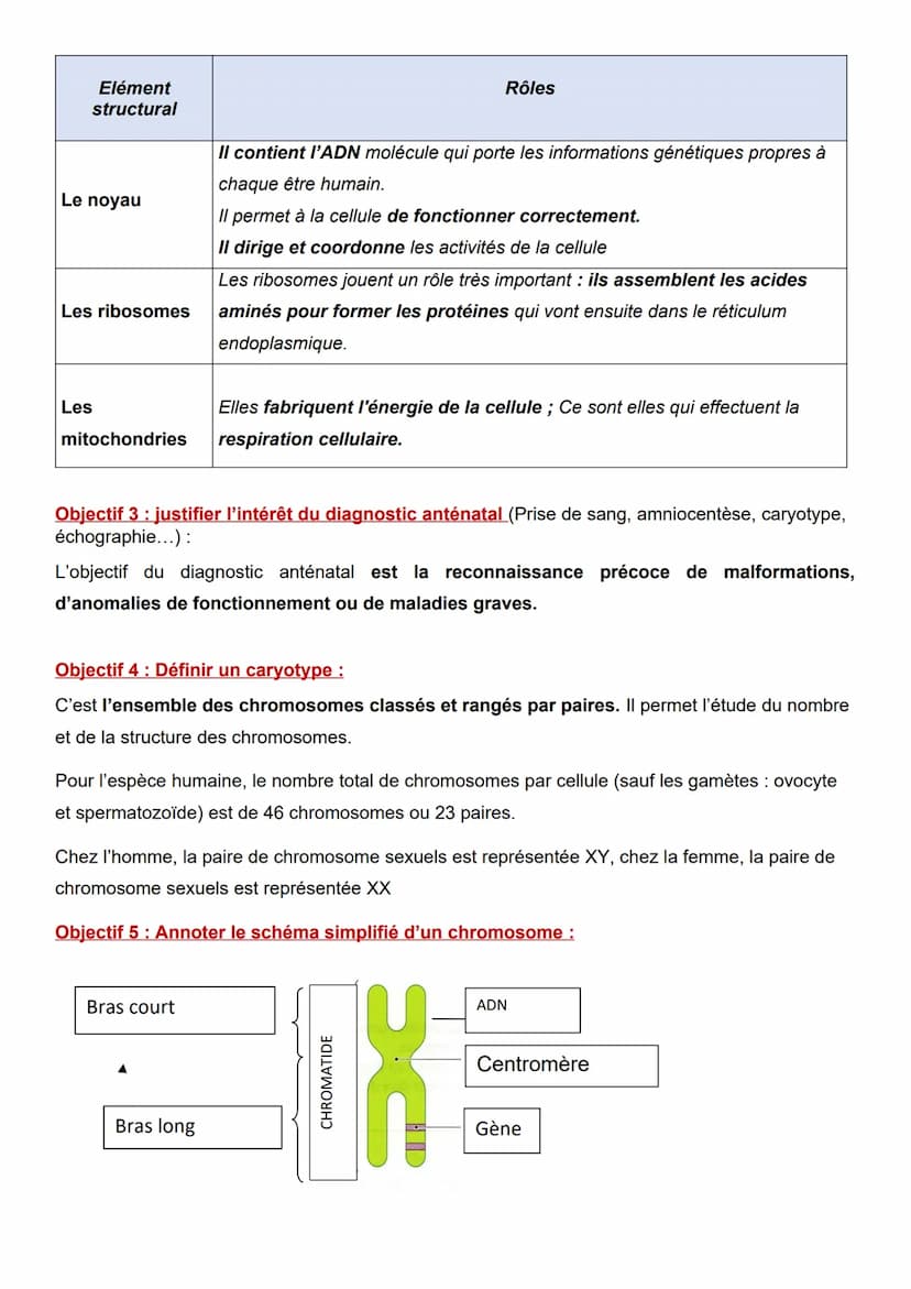C4-01: BILAN La cellule, le chromosome et caryotype
Objectif 1: Représenter schématiquement l'ultrastructure cellulaire
L'ultrastructure d'u