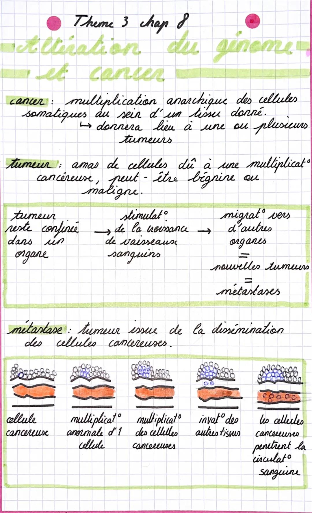 Altération du Génome et Cancer: Cours, Mutations et Caractéristiques