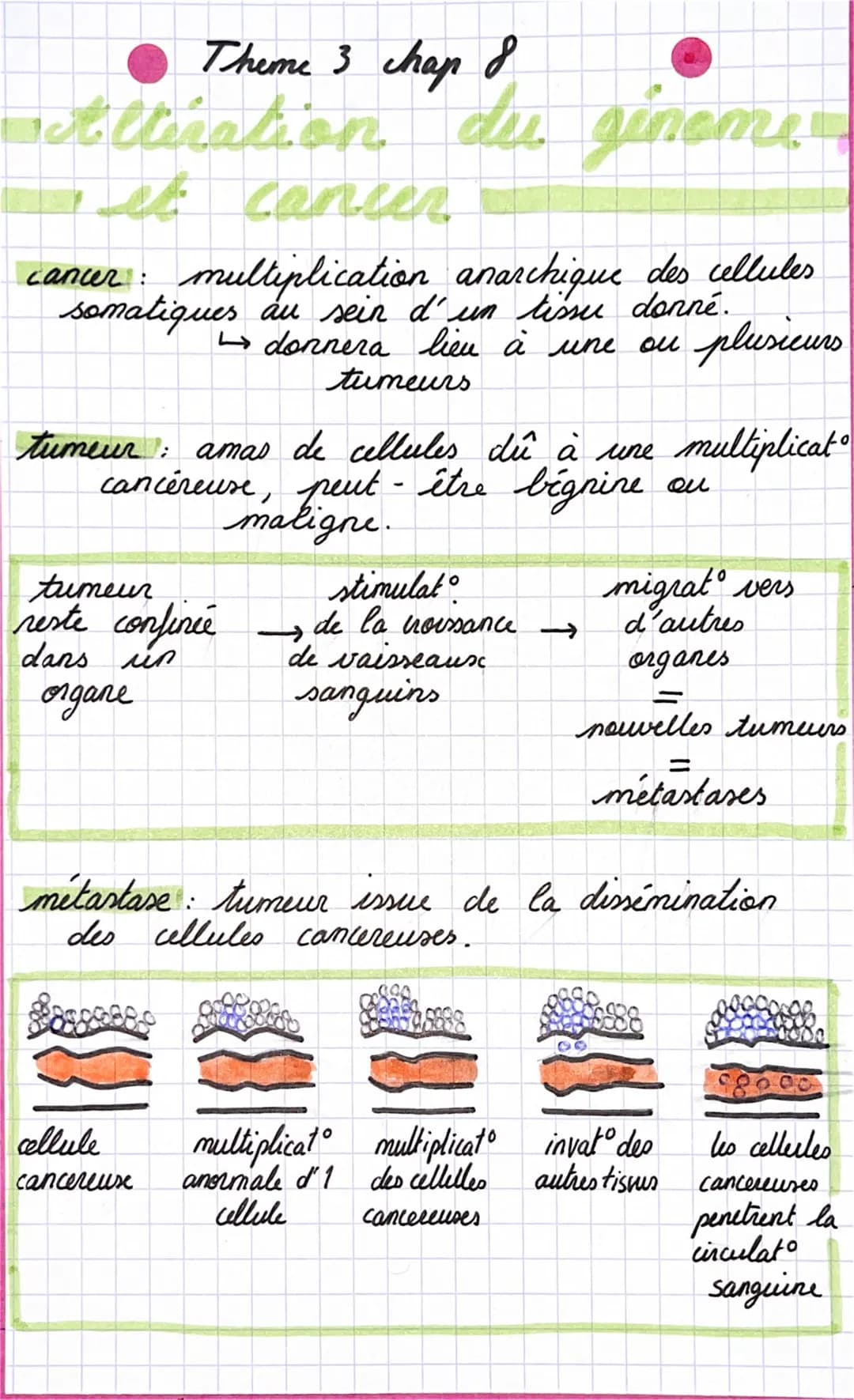 Theme 3 chap 8
Altiration
wet
cancer
cancer: multiplication anarchique des cellules
somatiques au sein d'un tissue donné.
↳donnera lieu à un
