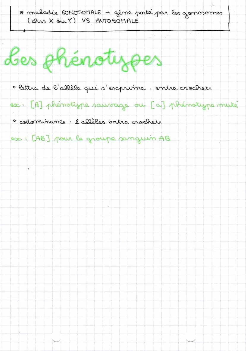18/09/22
овец alleles
O
désignés par
pour un même gène : recessif - minuscule
dominant
majuscule
exc: gène A responsable de la couleur des y