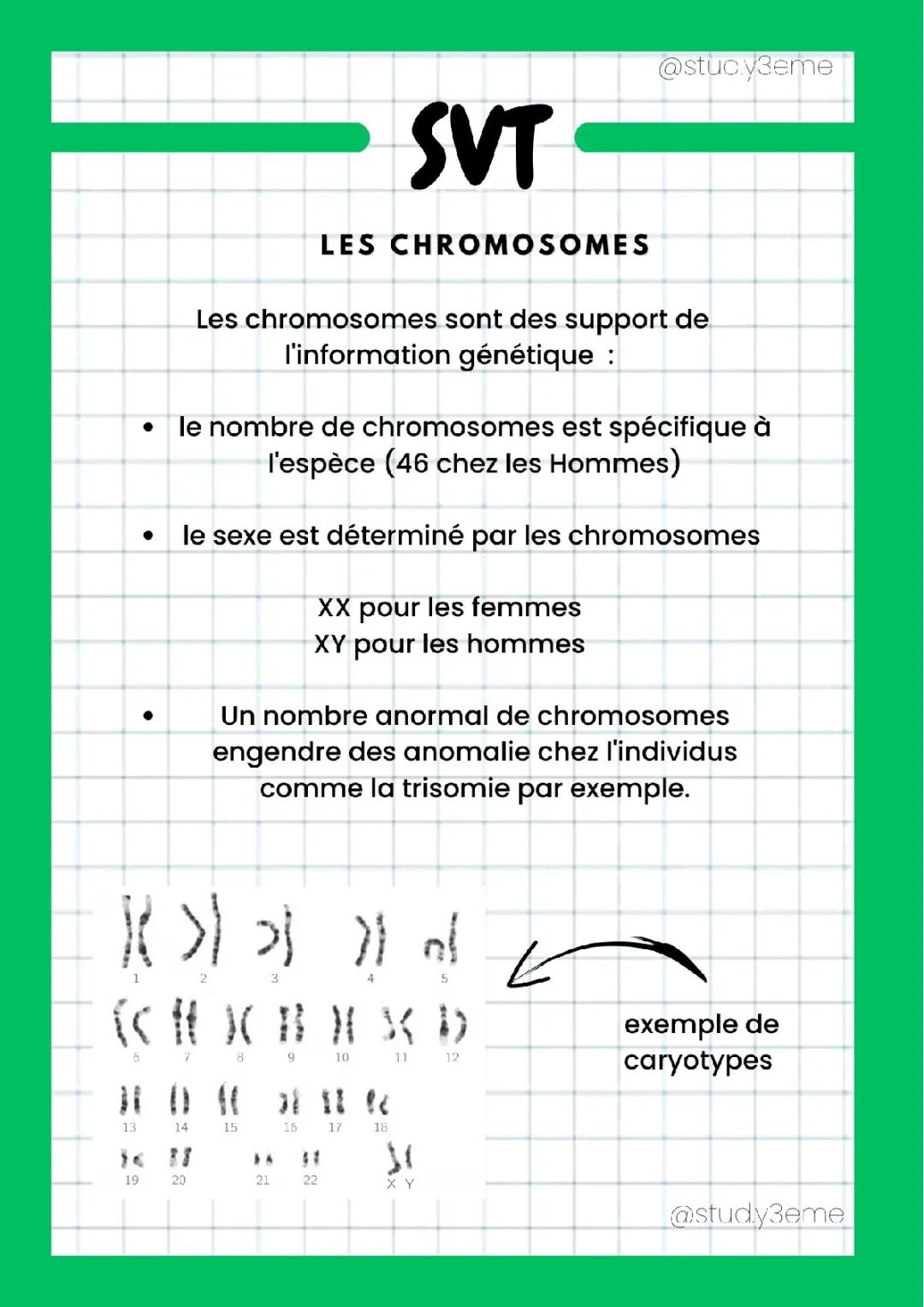 Schéma des Chromosomes XY et Anomalies: Comprends facilement!