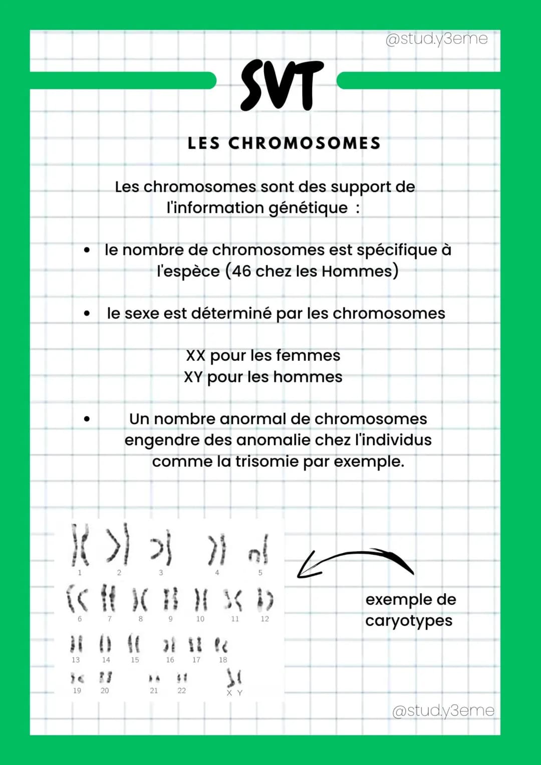 6
13
●
19
●
7
le nombre de chromosomes est spécifique à
l'espèce (46 chez les Hommes)
X > > > al
5
14
le sexe est déterminé par les chromoso