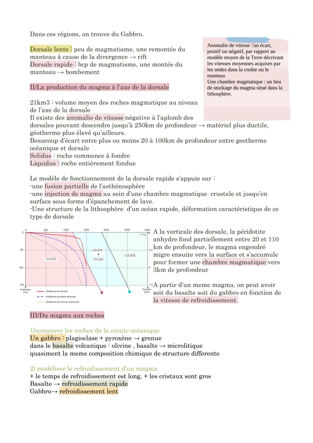 Chapitre 10 : La dynamique des zones de divergence lithosphérique
La dorsale est une chaine de montagne continue, certaine dorsale sont cara