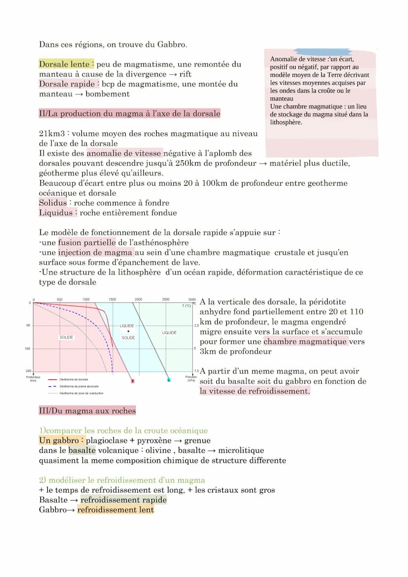 Chapitre 10 : La dynamique des zones de divergence lithosphérique
La dorsale est une chaine de montagne continue, certaine dorsale sont cara