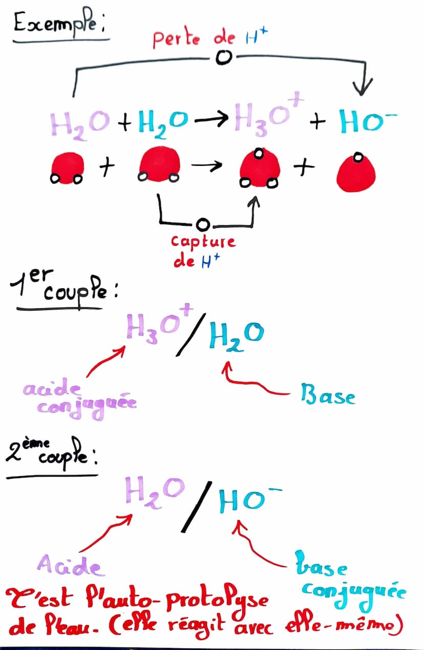 Acides/Bases
cède
(donne)
capte
(reçoit)
Acide
Base &
Acide
Base
H+
H*
Reconnaître un
acide et une
base!
Base conjuguée
Acide conjuguée
Coup