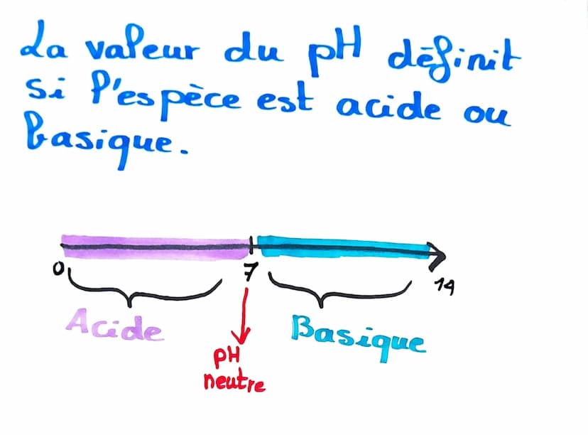Acides/Bases
cède
(donne)
capte
(reçoit)
Acide
Base &
Acide
Base
H+
H*
Reconnaître un
acide et une
base!
Base conjuguée
Acide conjuguée
Coup
